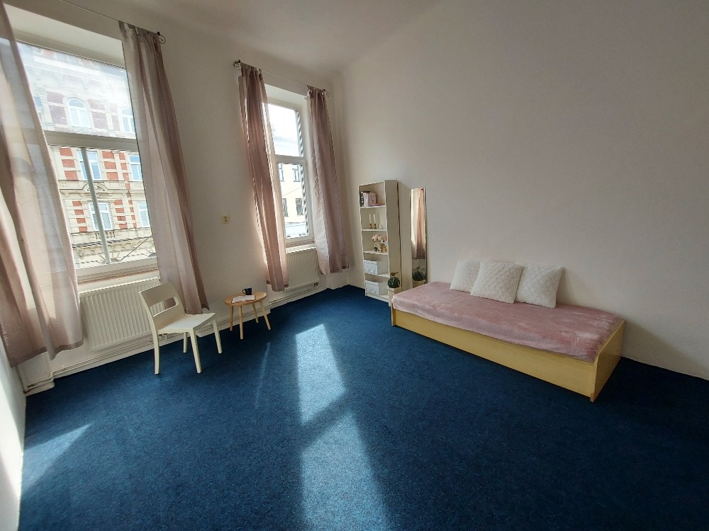 Prodej bytu 3+1 v centru Olomouce u parku - 5