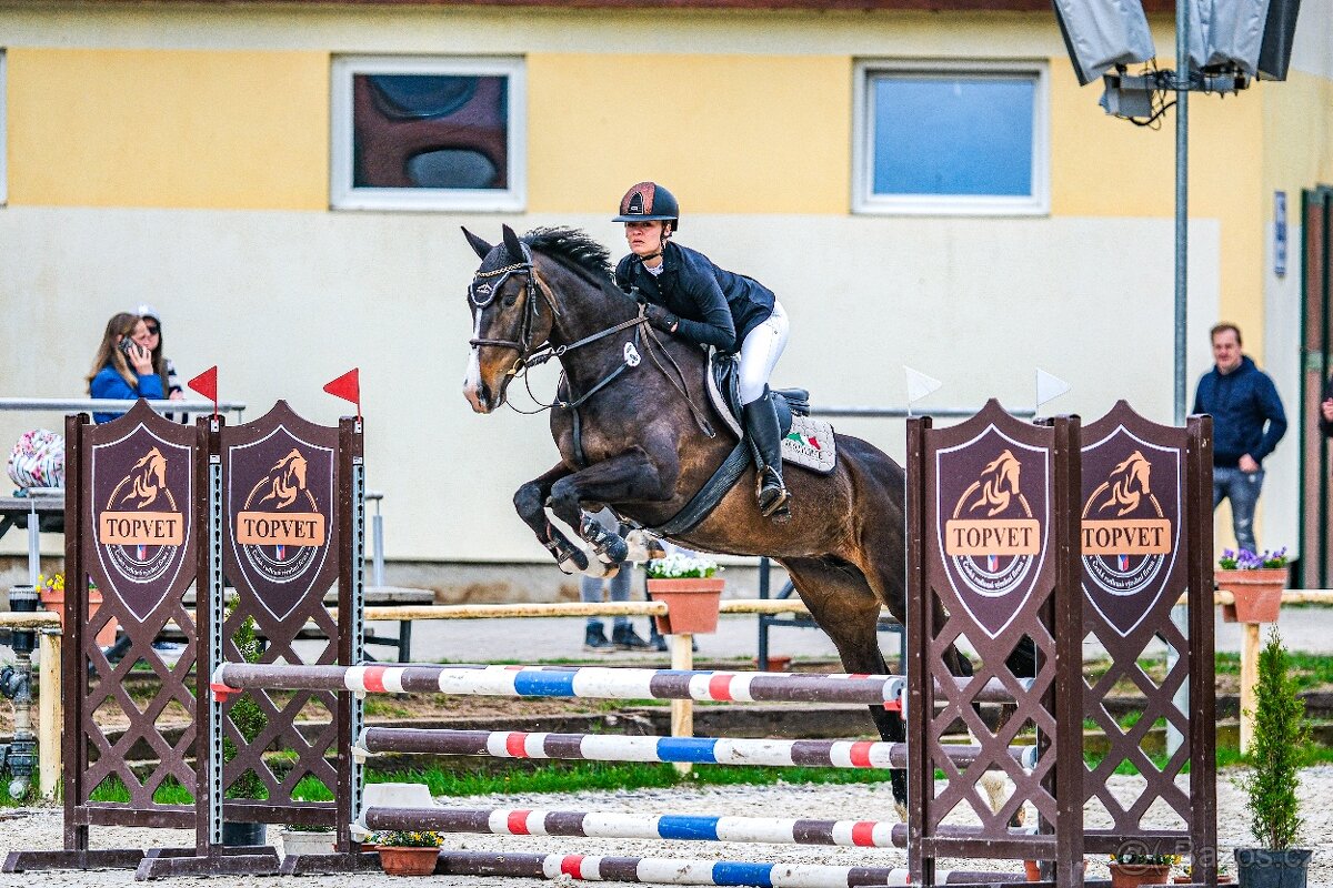 Klisna do sportu a na rekreaci - 5