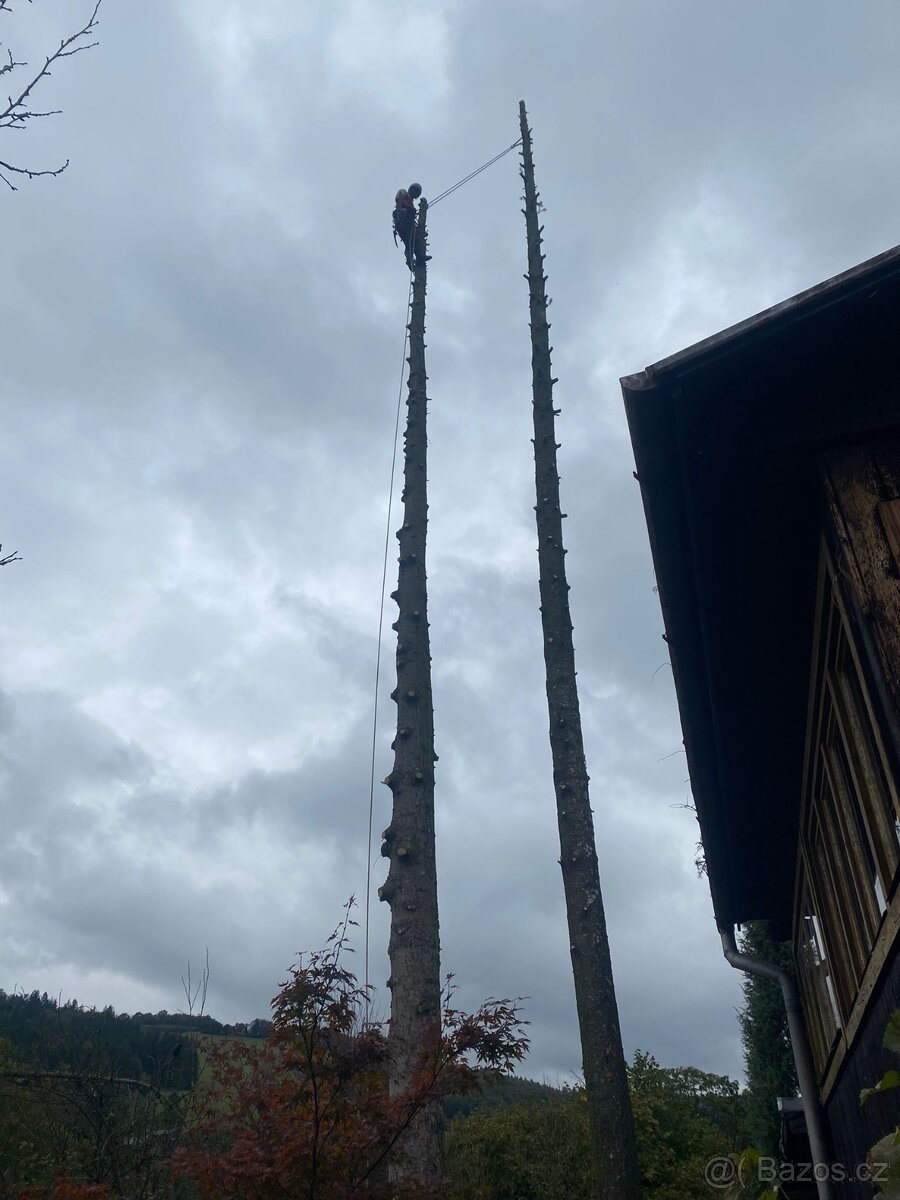 Kácení a ořezy stromů Vsetínsko - 5