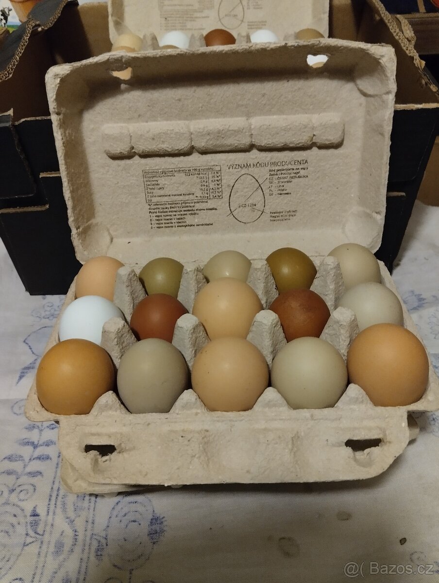 Domácí vejce - 5