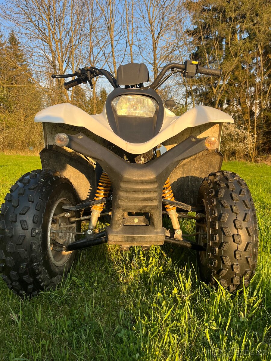 smc snake 100