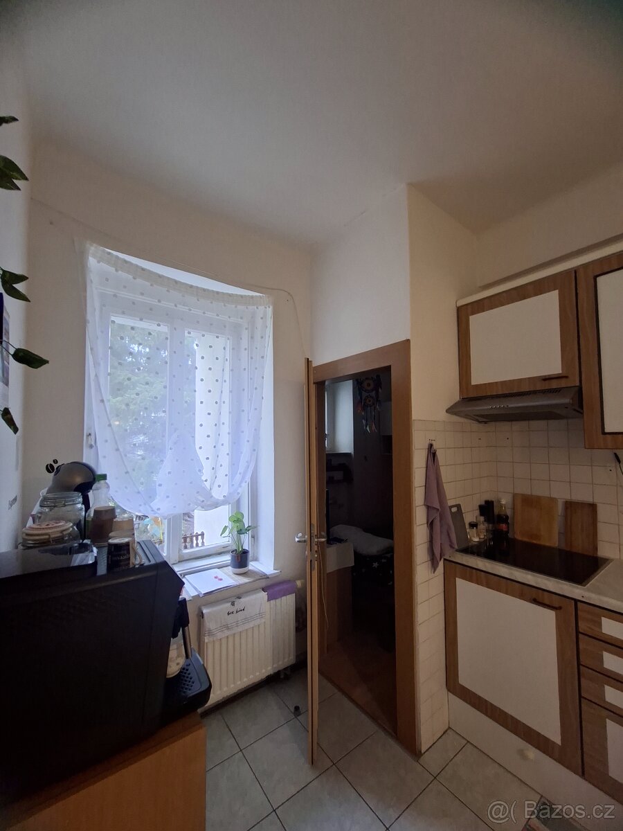 Pronájem 3+1 Olomouc - 5