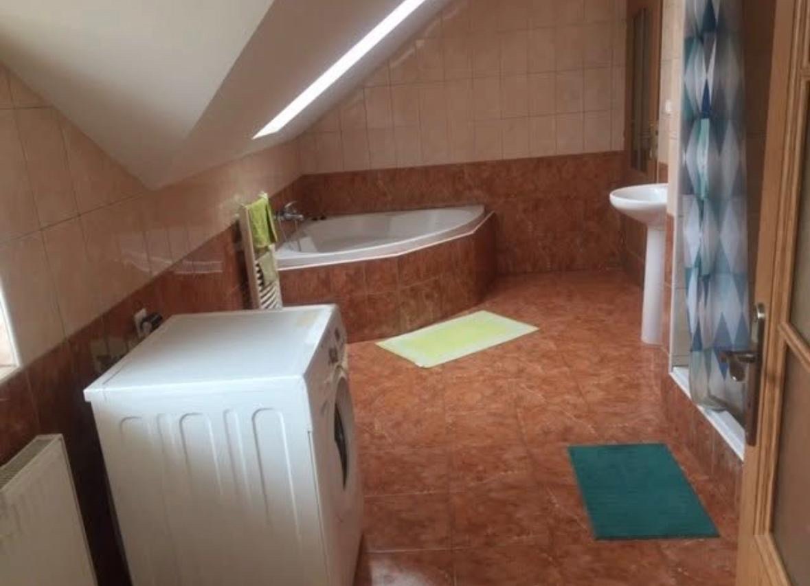 Pronájem pokoje v rodinném domě - 5