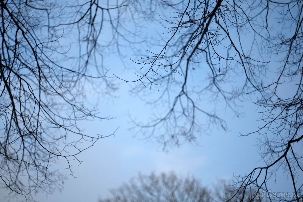 Auto Reflecta 55mm f/1.7 - (M42) - 5