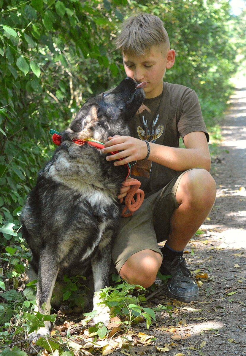 🐾 SIMBAD – energický hrdina s velkým srdcem - 5