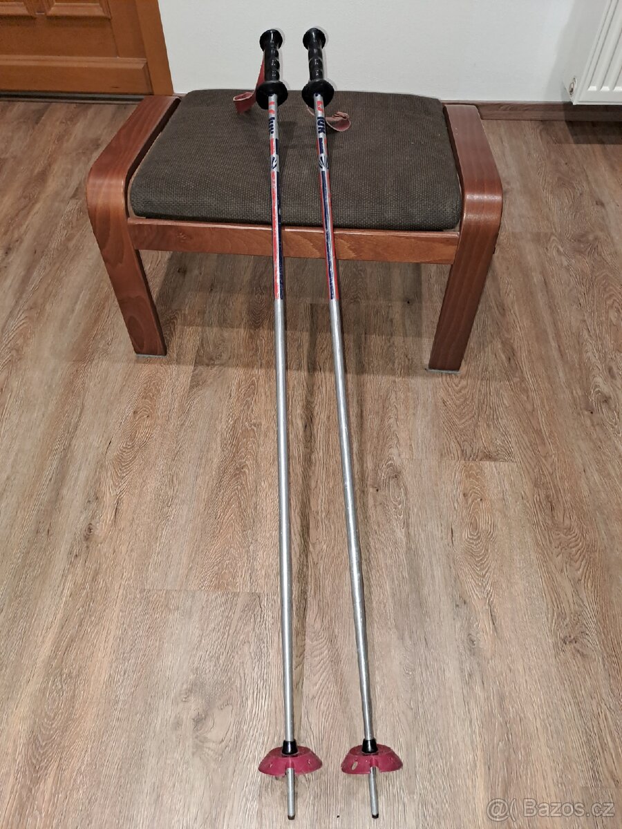 Sjezdové hole - 5
