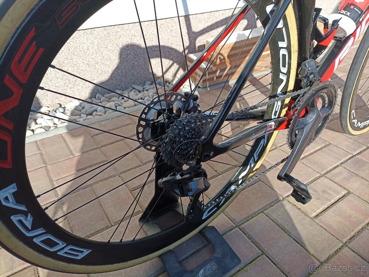 Ridley - 5