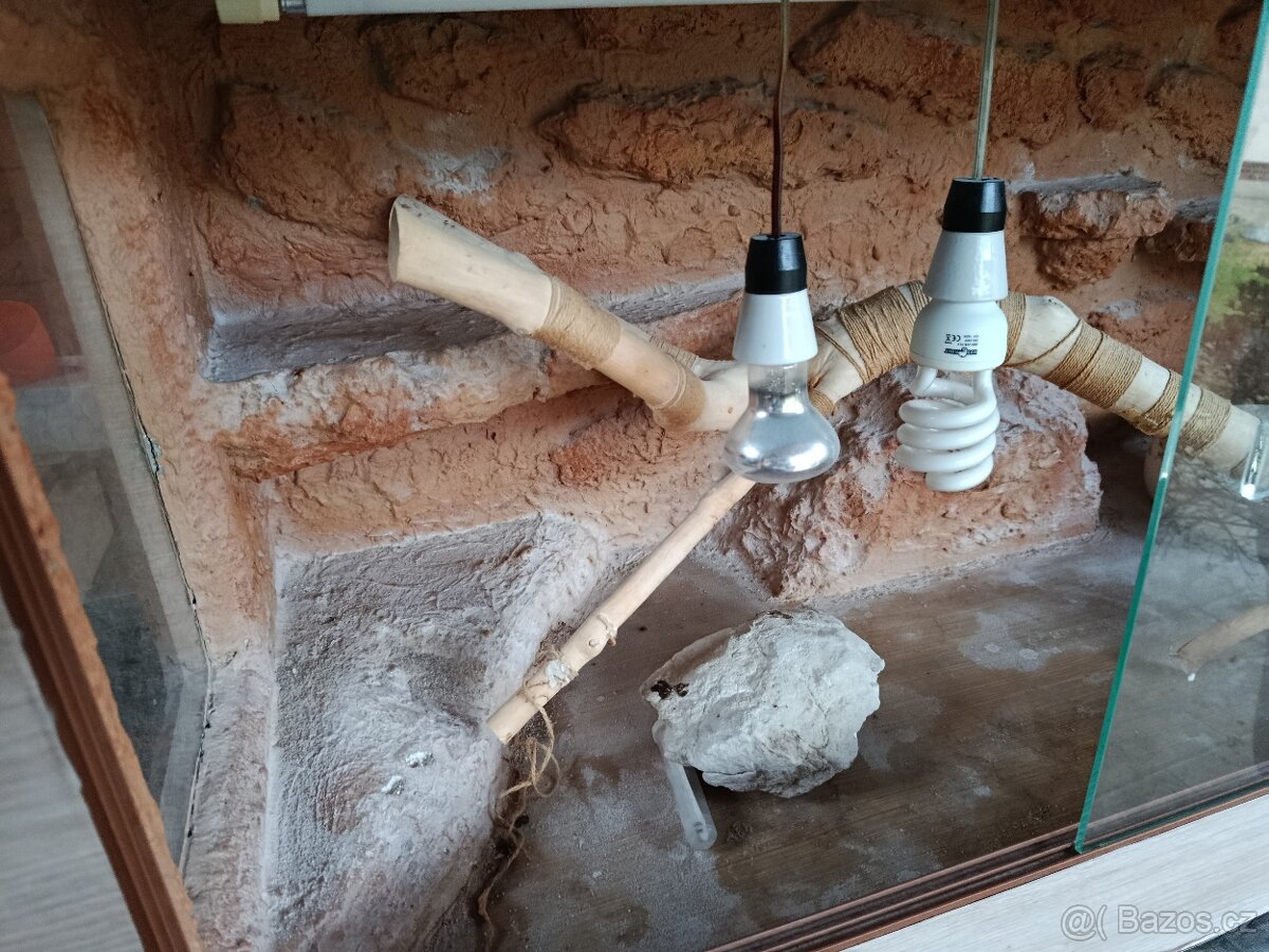 Pouštní terárium - 5