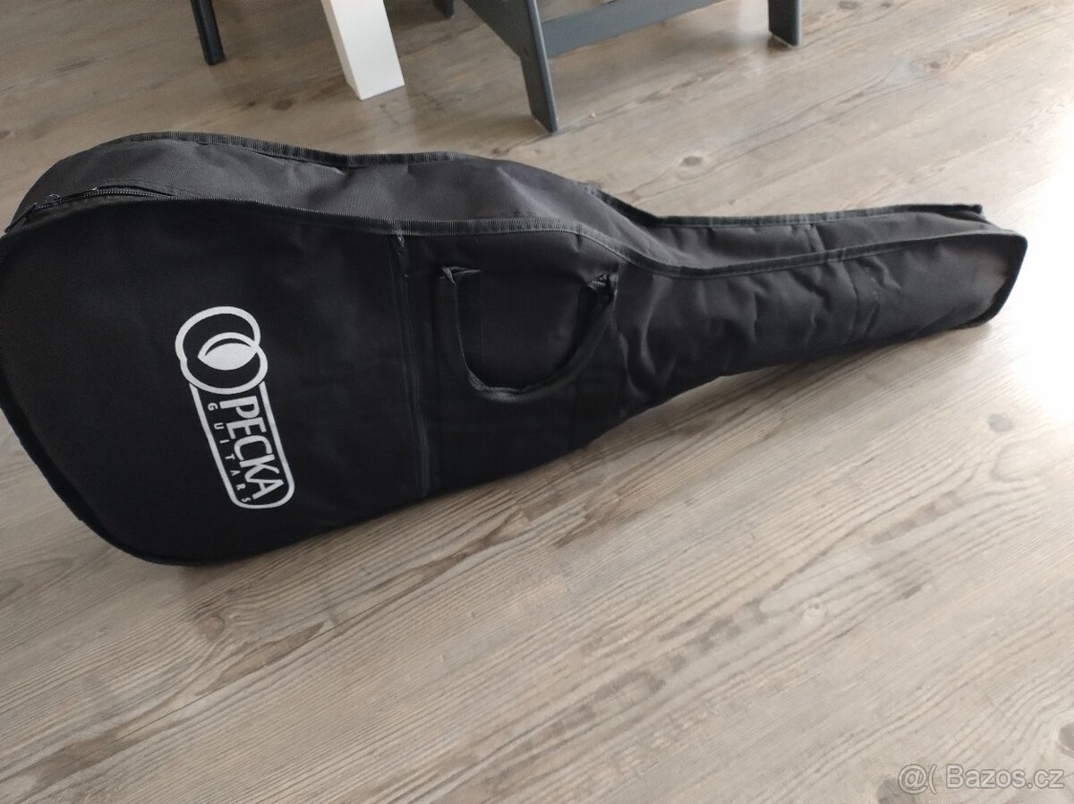 Kytara Pecka Guitars CGP-34BB - 5