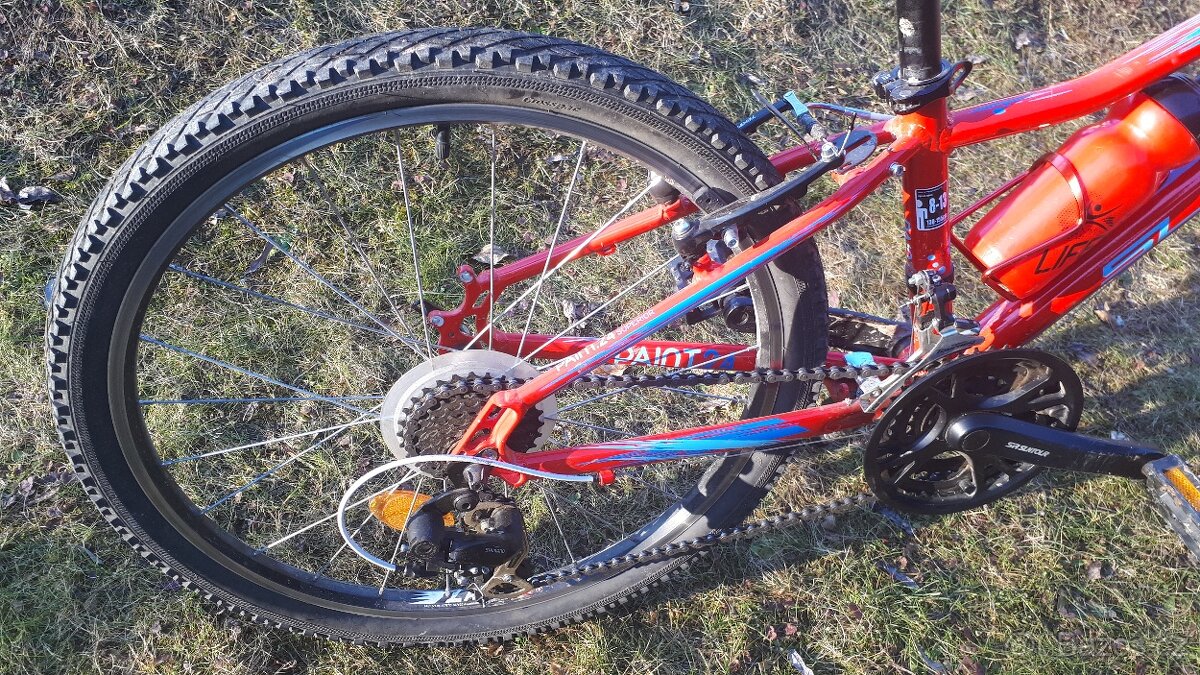 Dětské kolo Superior Paint 24 - 5