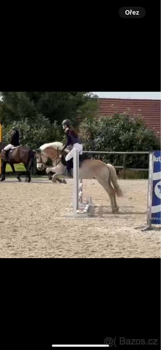 Patnáctiletý hafling - 5