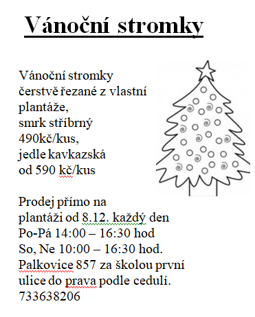 svazek větví jedle kavkazská borovice vánoční stromek - 5