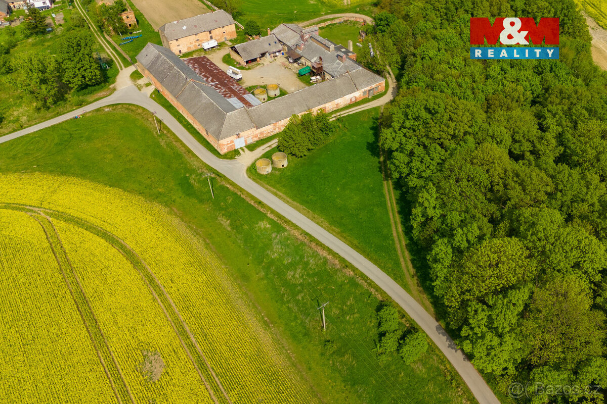 Prodej louky, 2451 m², Javorník - 5