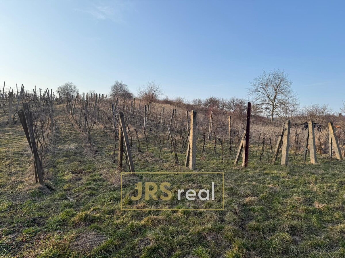 Prodej vinice 2 669 m², Mutěnice, ev.č. 130093JV - 5