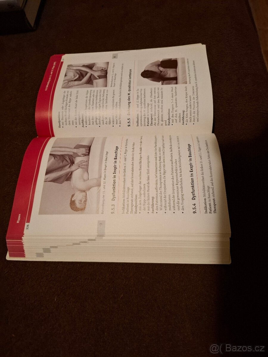 Lékařská kniha: Ostheopathie Parientale Techniken (německy) - 5