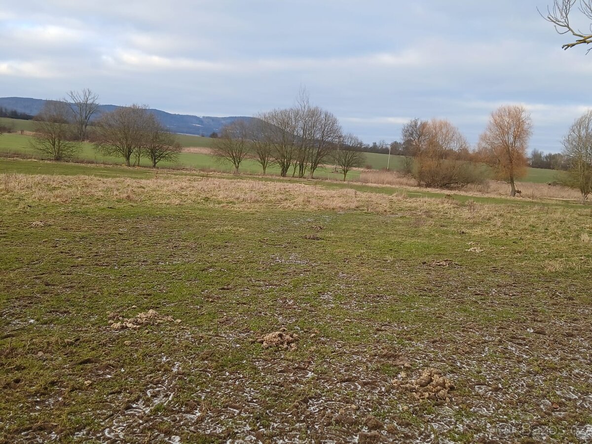 Mulčování - 5