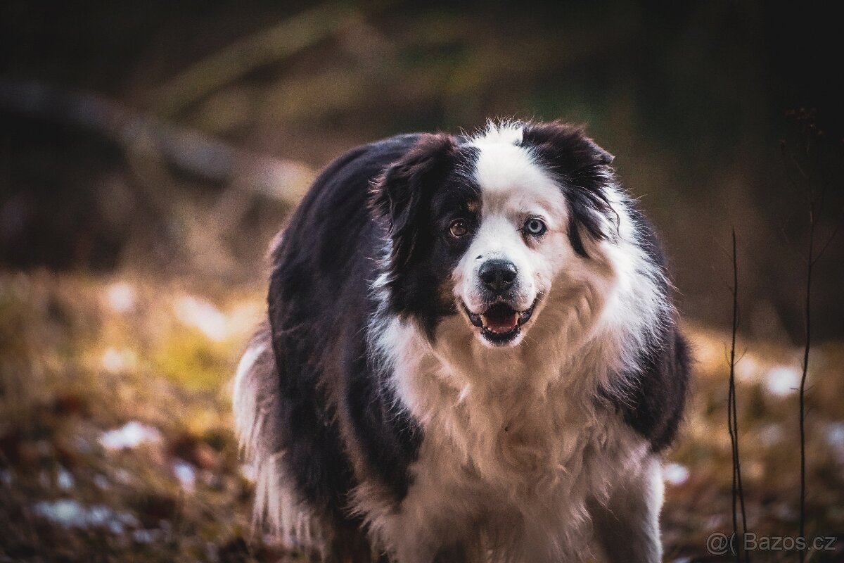 Sony E-Mount UV + CP filtry Hoya. - 5