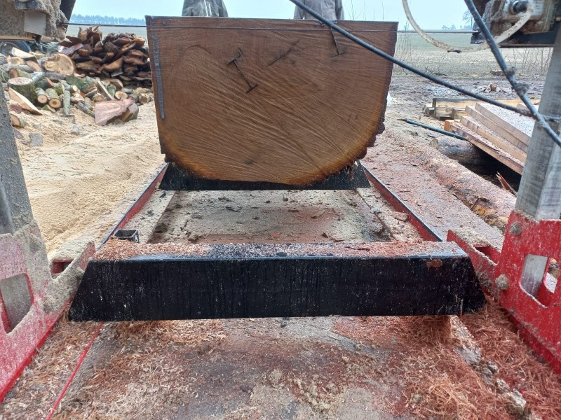 Kmenová pásová pila TMG 790 - 5