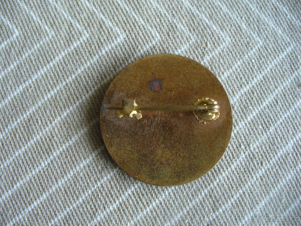 odznak DOBROVOLNÁ SESTRA - 5