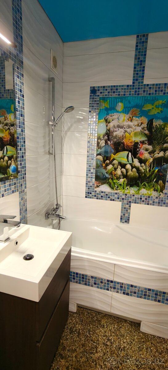 Krásný byt 2+1 na ulici Konečná - 5