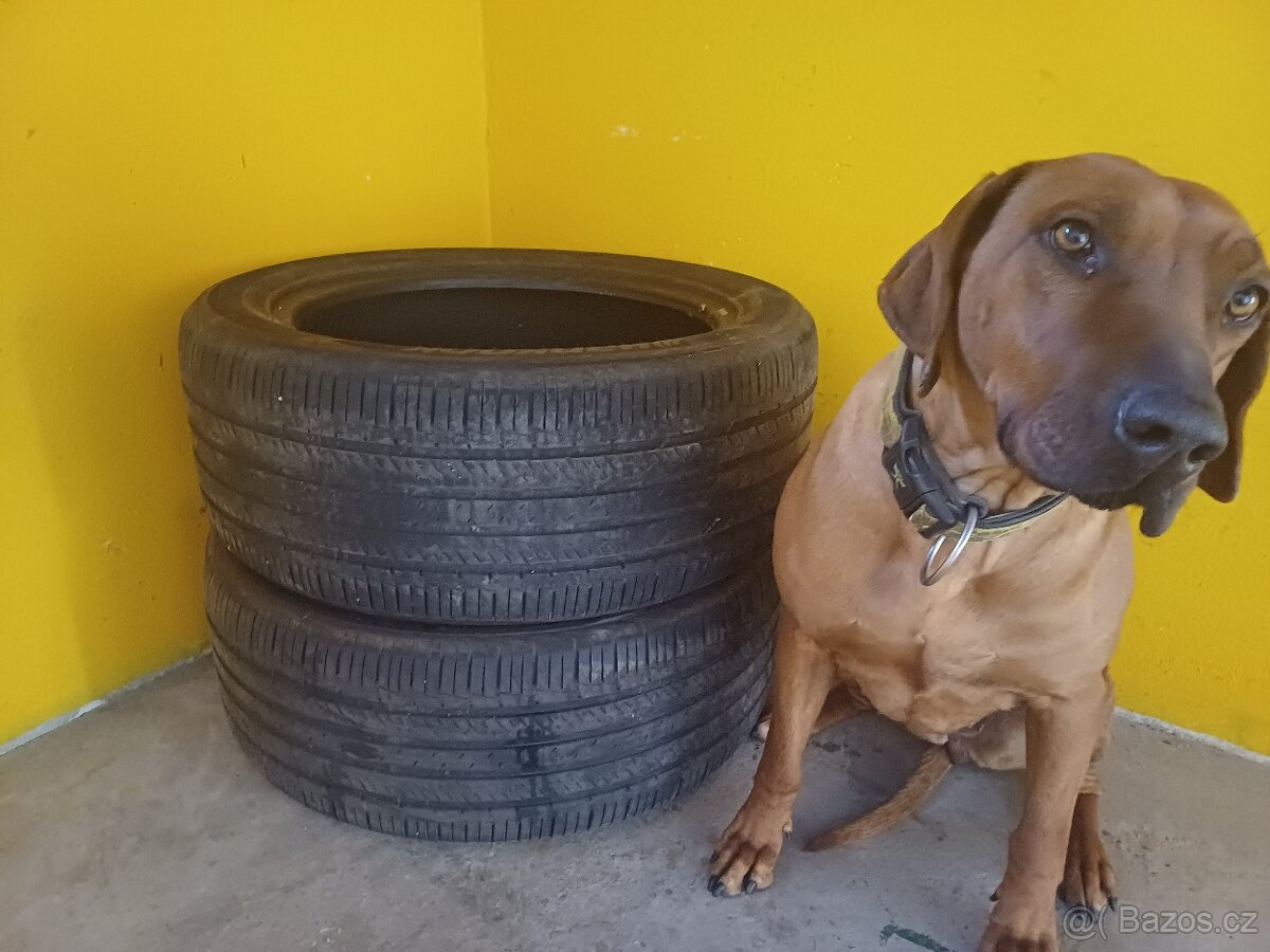 Hankook 265/50/20 107v - 5