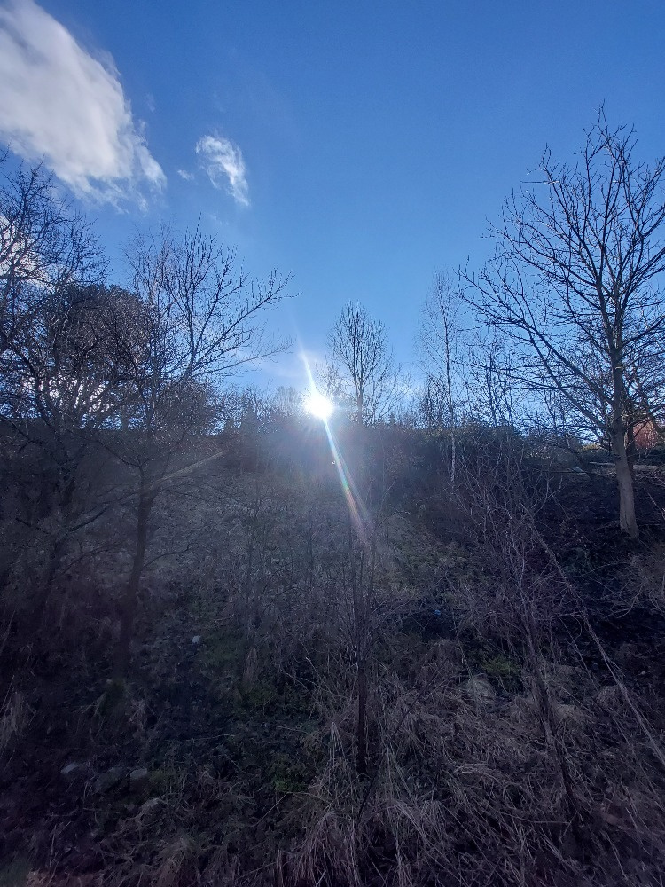 Pozemek - zahrada Blansko - 5