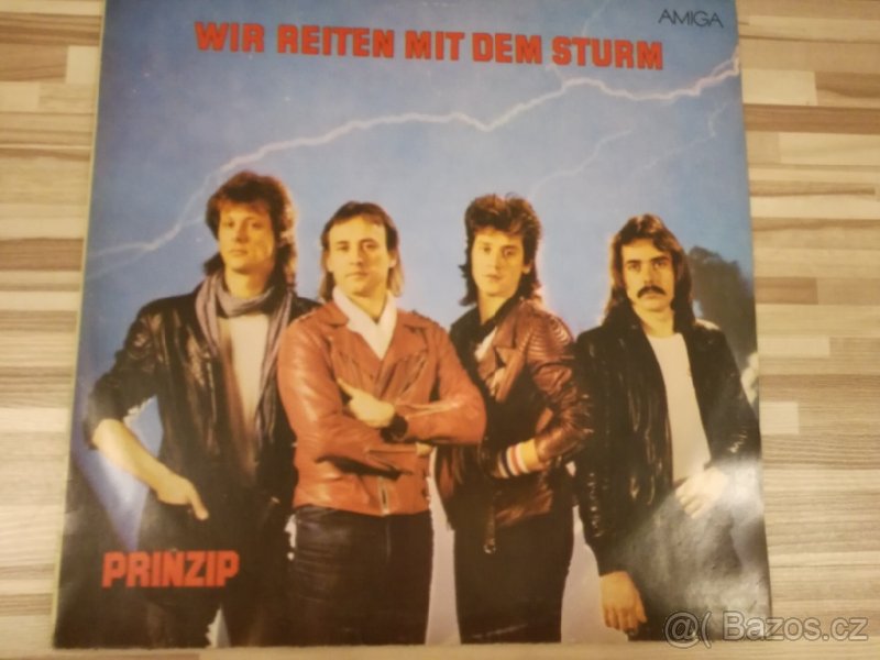 Prinzip Wir reiten mit dem sturm - 5