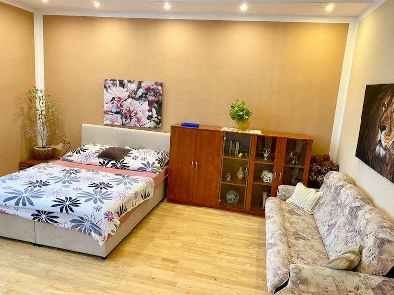 Pronájem bytu 1+kk, Náves Svobody, Olomouc - Holice - 5