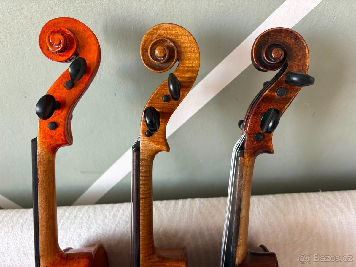 Tři staré viola - 5