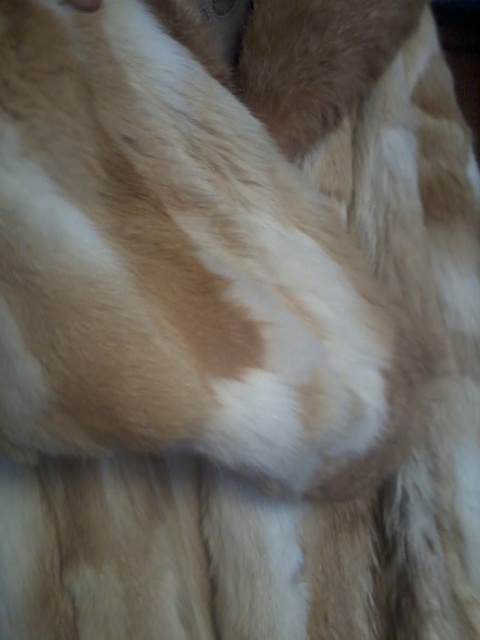 kožíšek králík - 5