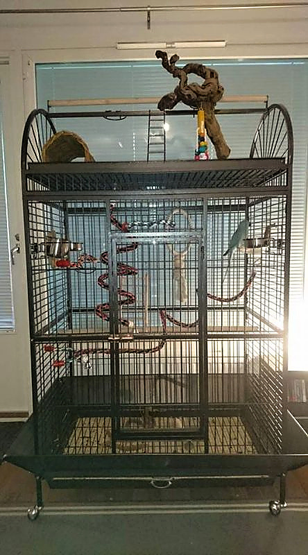 Voliéra - klec XXL nová - 5