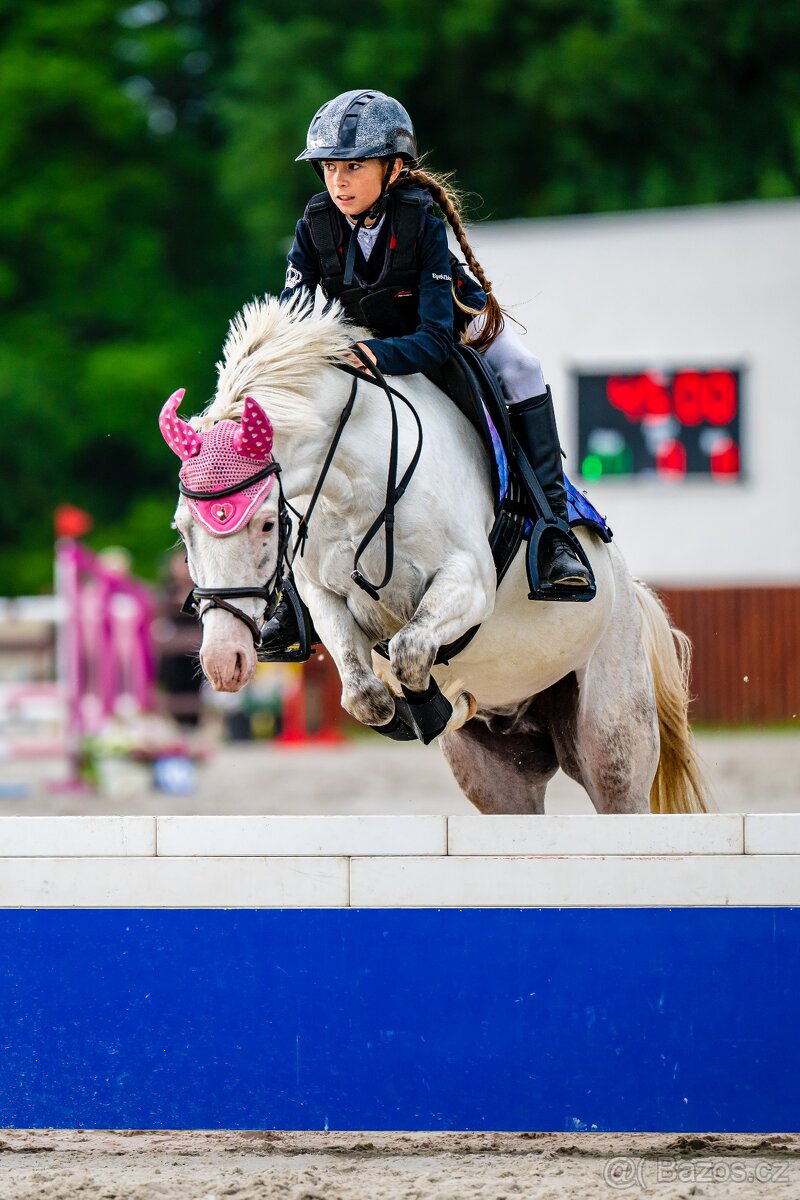 Pony valach kat. A - 5