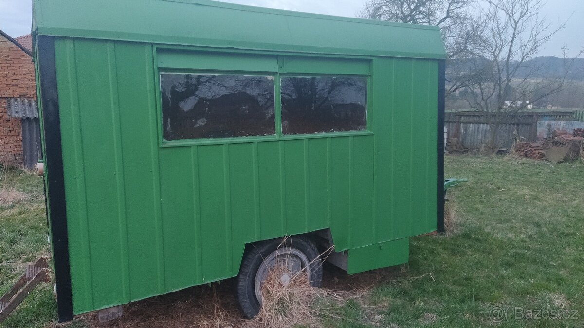 maringotka lesanka - 5