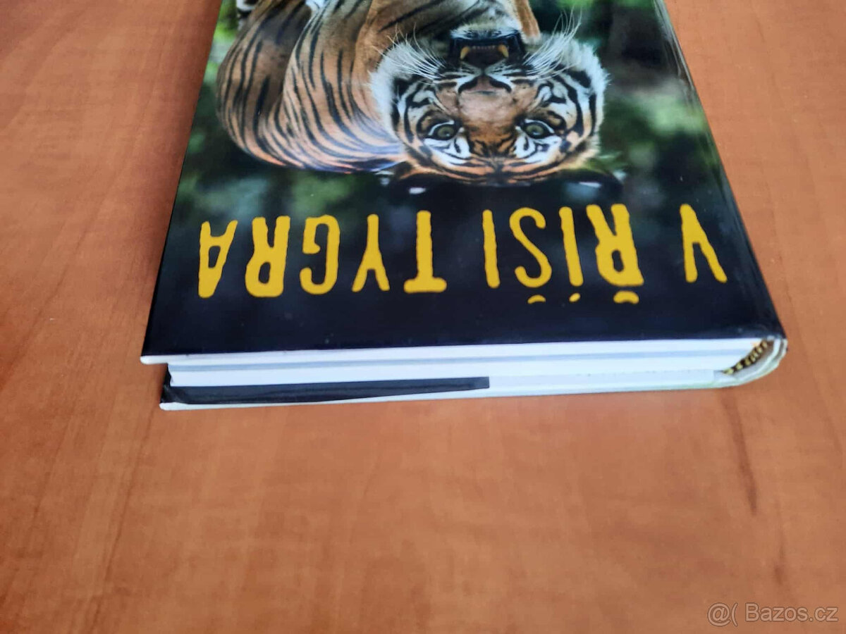 V říši tygra - 5