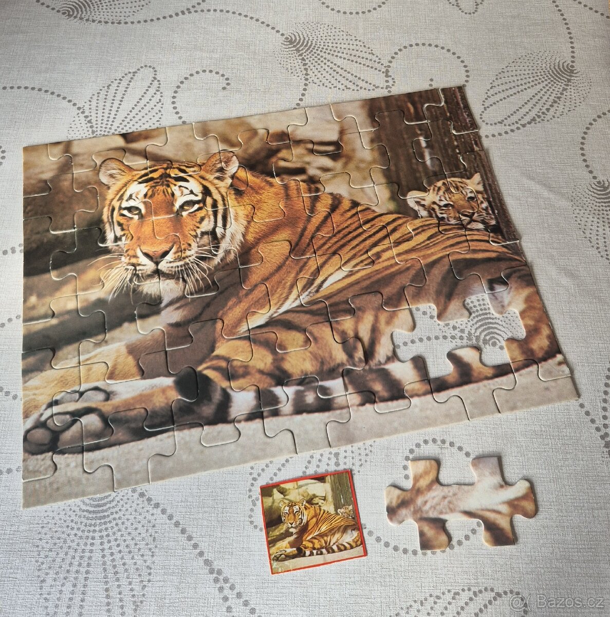 PUZZLE 42 ks tygr - 5