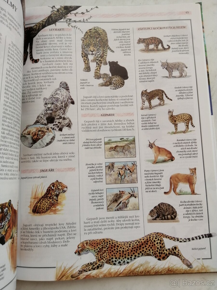 Dětská encyklopedie o přírodě NOVÁ - 5