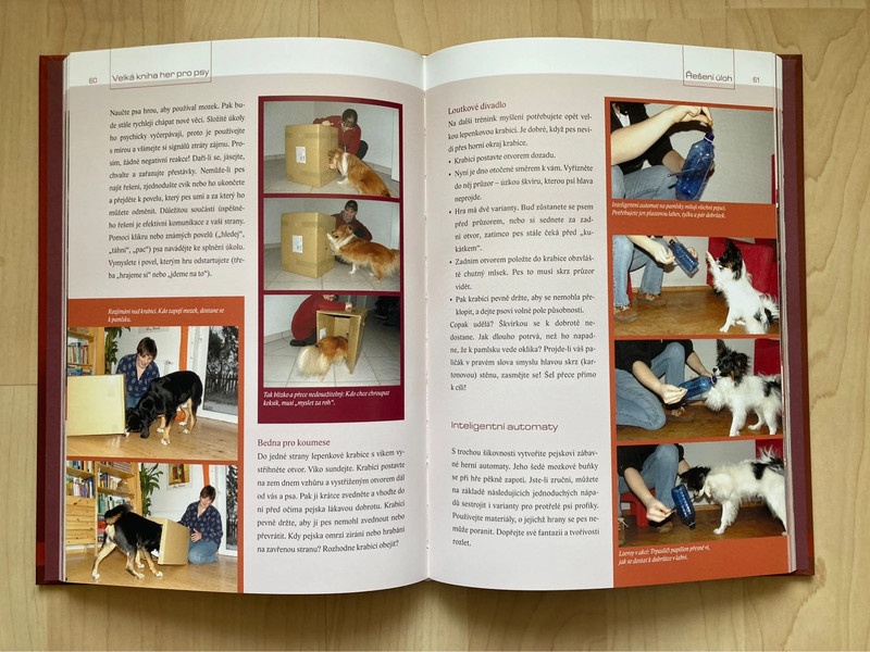 ☘️ Velká kniha her pro PSY ☘️ - 5