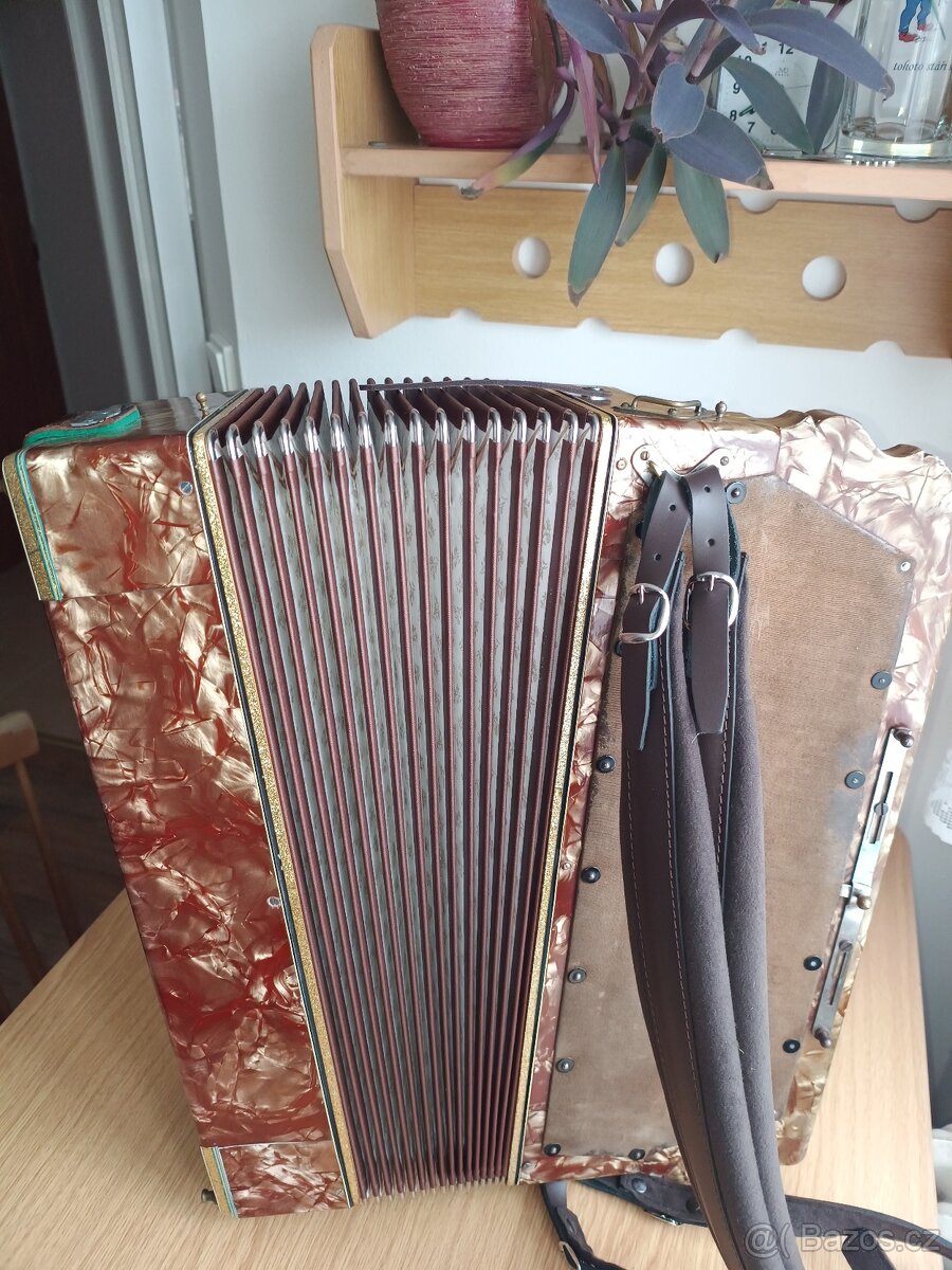 Harmonika akordeon - 5