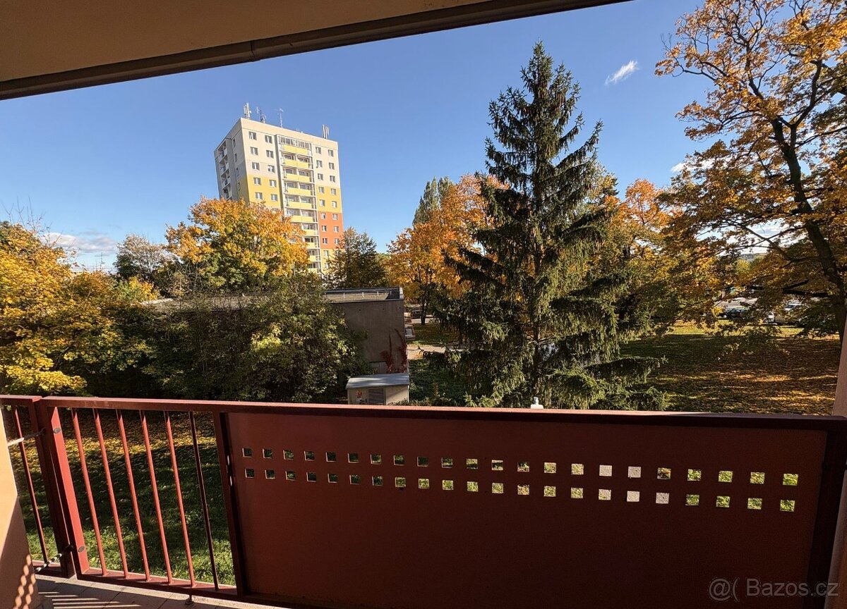 Byt 1+1 s lodžií, Olomouc - Nová Ulice - 5