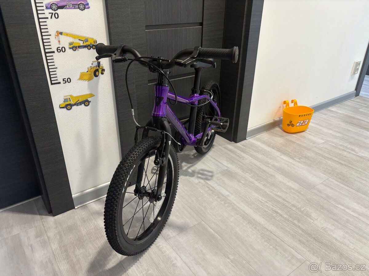 RASCAL 16 limitovana edice - 5