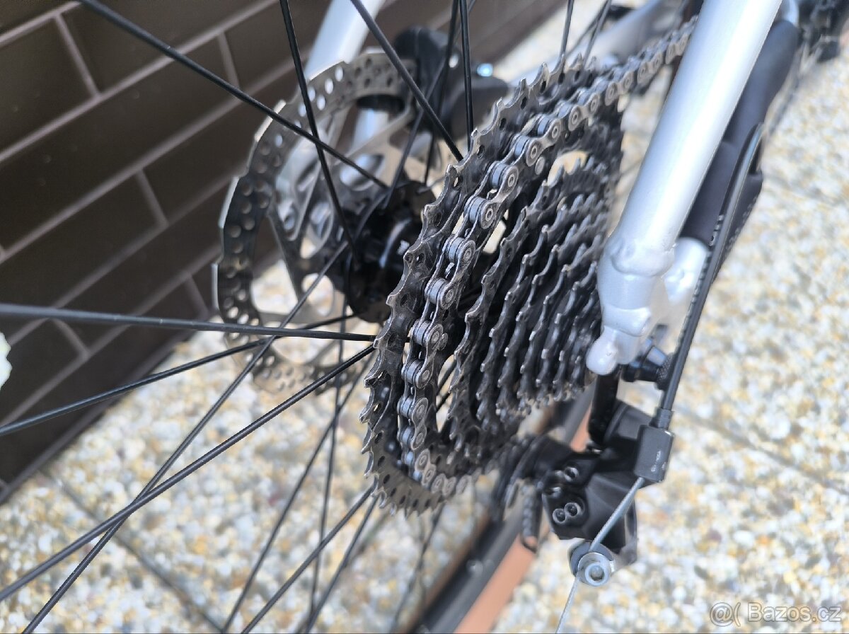 Rock Machine Thunder - 5