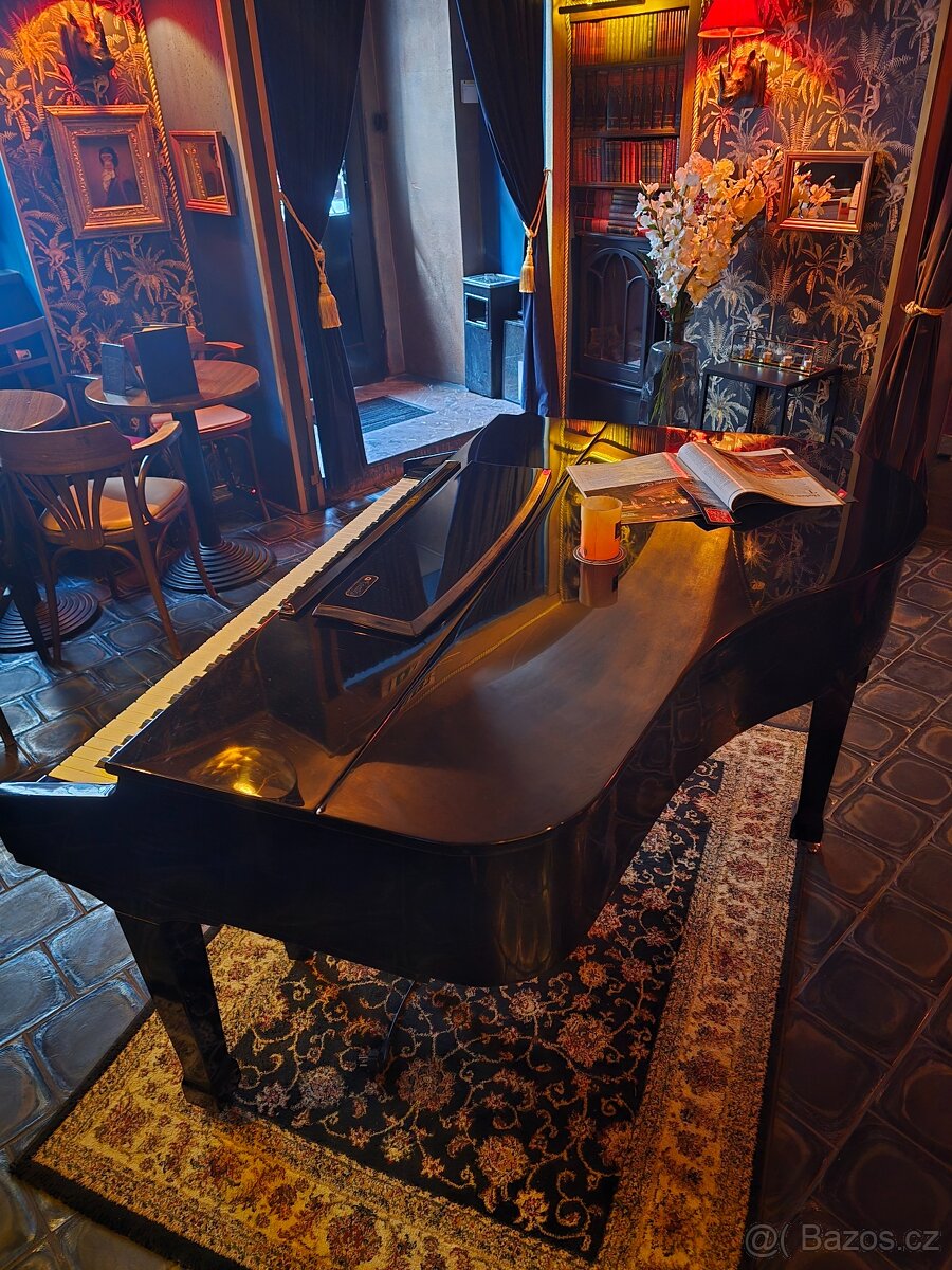 Digitální piano AG-50 - 5