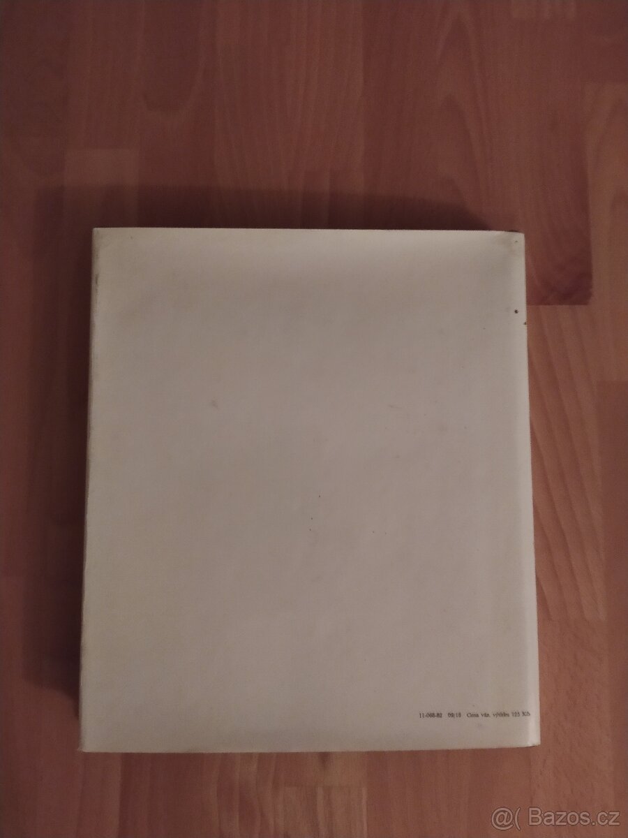 Josef Sudek, Zdeněk Kirschner - 5