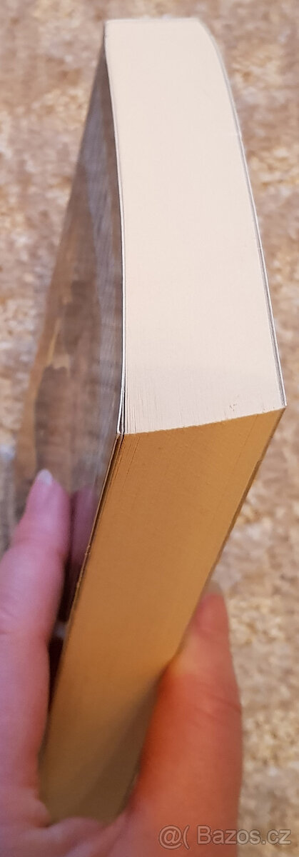 Zaklínač I (Sapkowski), Underground, Vlci (Kotleta) - 5