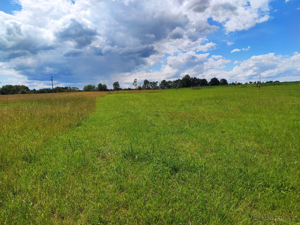 Prodej stavebního pozemku v Lužnici u Třeboně - 5