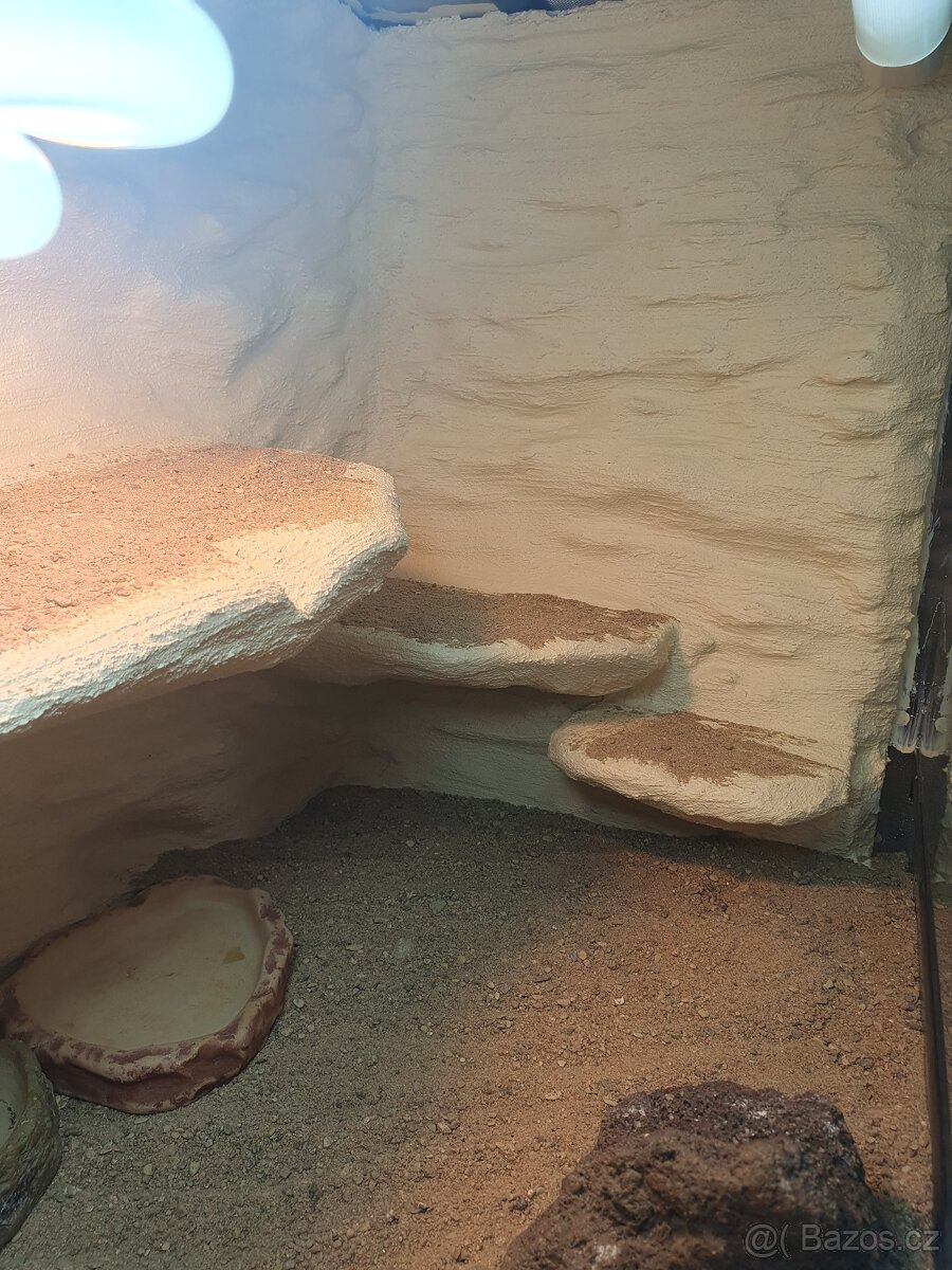 Terarium pro agamu 80x50x40 - 5