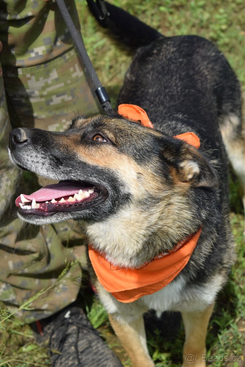 JULLY K ADOPCI - krásná mladá přátelská NO - 5