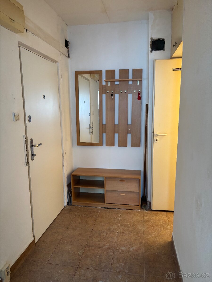 Pronájem - 5