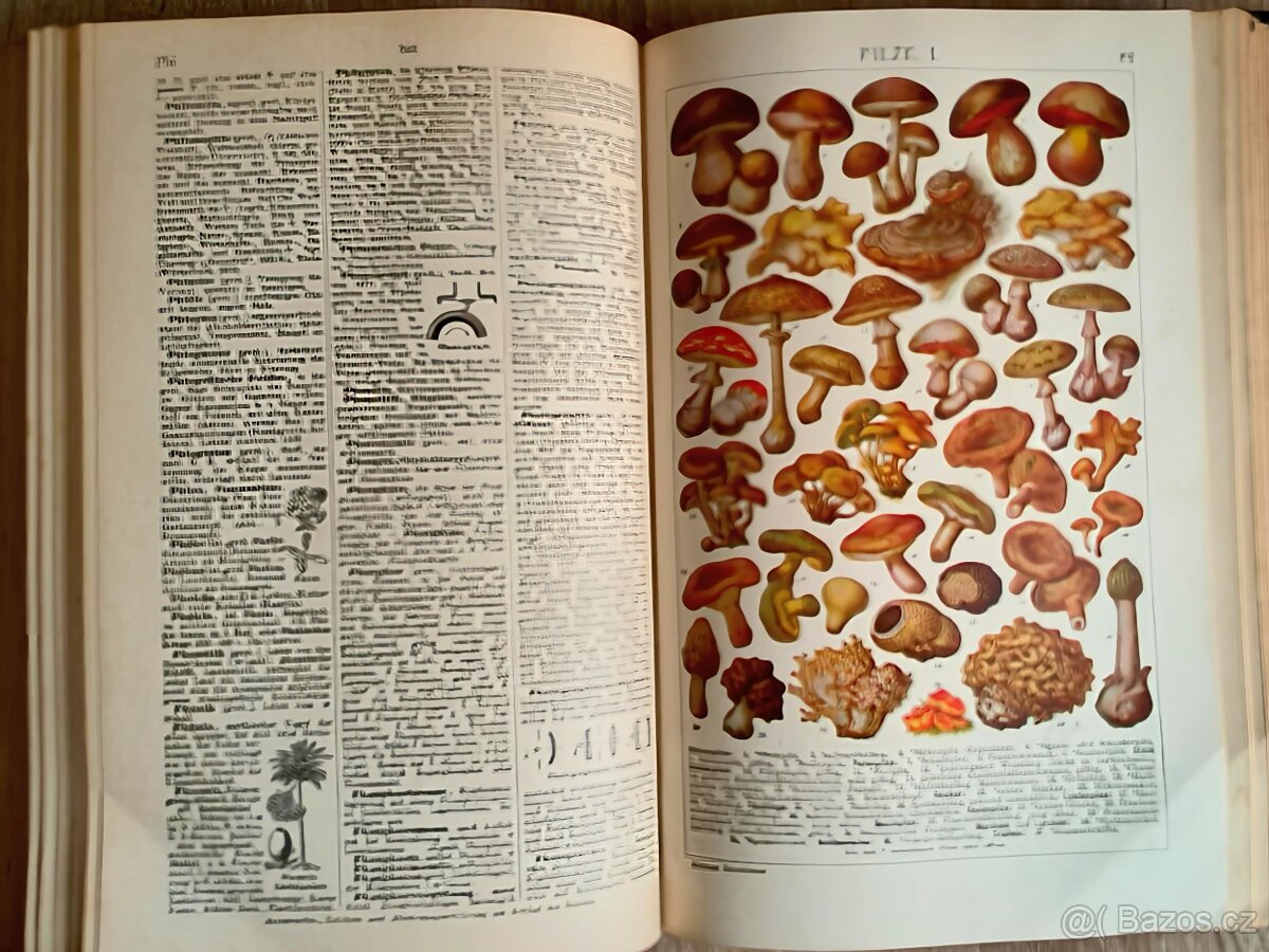 Originál Malý Brockhaus, 1928 - 5