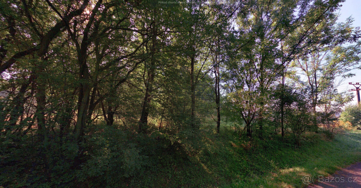 Bartovice 1114m2 - 5